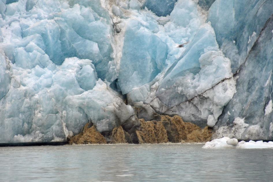 D:\DataFoto\Foto's - Reizen\2018-07-18 Spitsbergen\13 Palanderbukta\Best Of\SPIT1834y.jpg