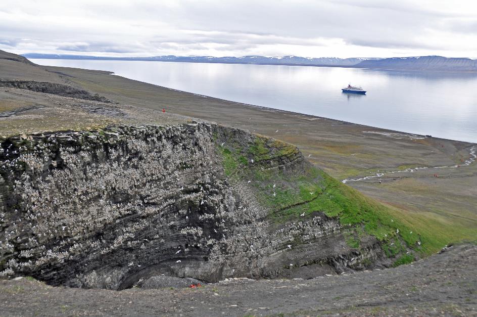 D:\DataFoto\Foto's - Reizen\2018-07-18 Spitsbergen\18 Kapp Waldburg\Best Of\SPIT2671y.jpg