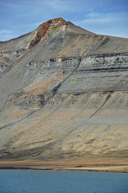 D:\DataFoto\Foto's - Reizen\2018-07-18 Spitsbergen\17 Freemansundet\Best Of\SPIT2499y.jpg