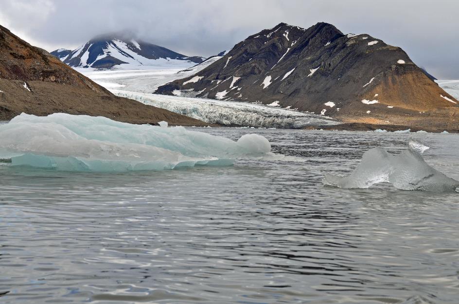 D:\DataFoto\Foto's - Reizen\2018-07-18 Spitsbergen\20 Burgerbukta\Best Of\SPIT3377y.jpg