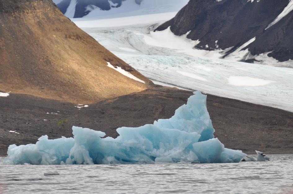 D:\DataFoto\Foto's - Reizen\2018-07-18 Spitsbergen\20 Burgerbukta\Werkmap\99 Moet Nog\SPIT3449x.jpg