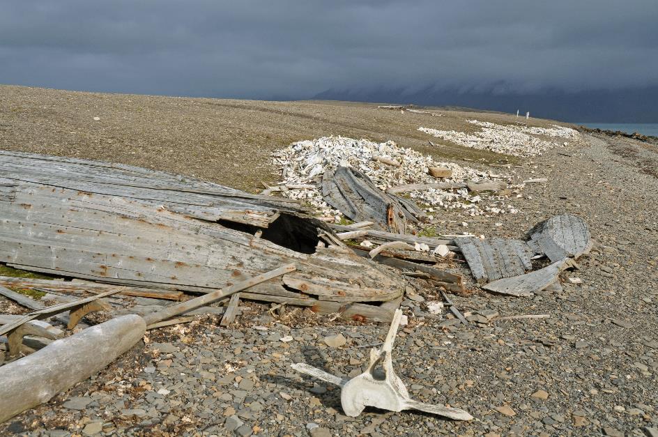 D:\DataFoto\Foto's - Reizen\2018-07-18 Spitsbergen\22 Ahlstrandhalfoya\Best Of\SPIT3692y.jpg