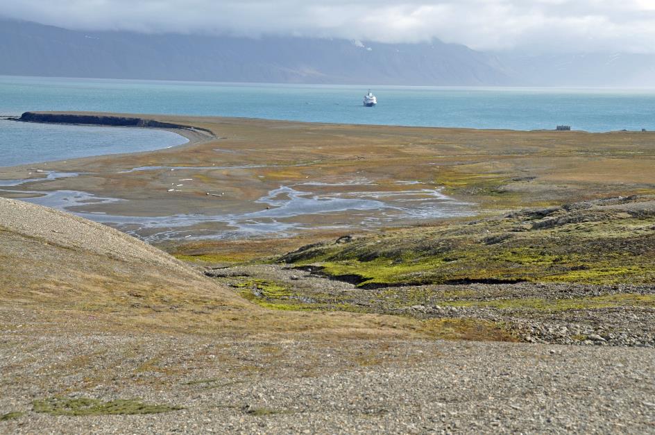 D:\DataFoto\Foto's - Reizen\2018-07-18 Spitsbergen\22 Ahlstrandhalfoya\Best Of\SPIT3747y.jpg