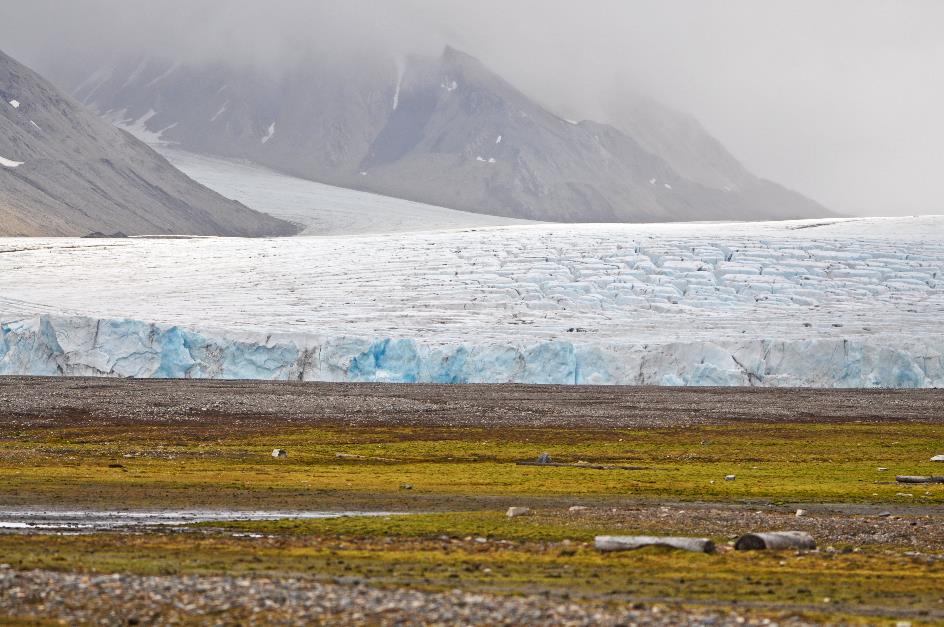 D:\DataFoto\Foto's - Reizen\2018-07-18 Spitsbergen\23 Recherchefjorden\Best Of\SPIT4203y.jpg