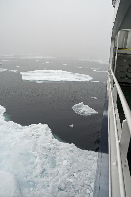 D:\DataFoto\Foto's - Reizen\2022-08-30 Noordoost-Groenland\03 Ice edge\Best Of\GROE0355y.jpg