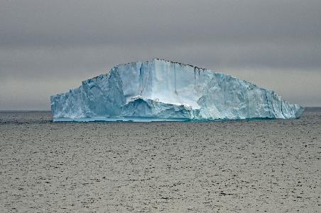 D:\DataFoto\Foto's - Reizen\2022-08-30 Noordoost-Groenland\04 Bass Rock - Shannon\Best Of\GROE0641y.jpg