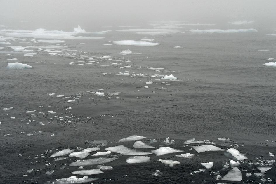 D:\DataFoto\Foto's - Reizen\2022-08-30 Noordoost-Groenland\03 Ice edge\Best Of\GROE0332y.jpg