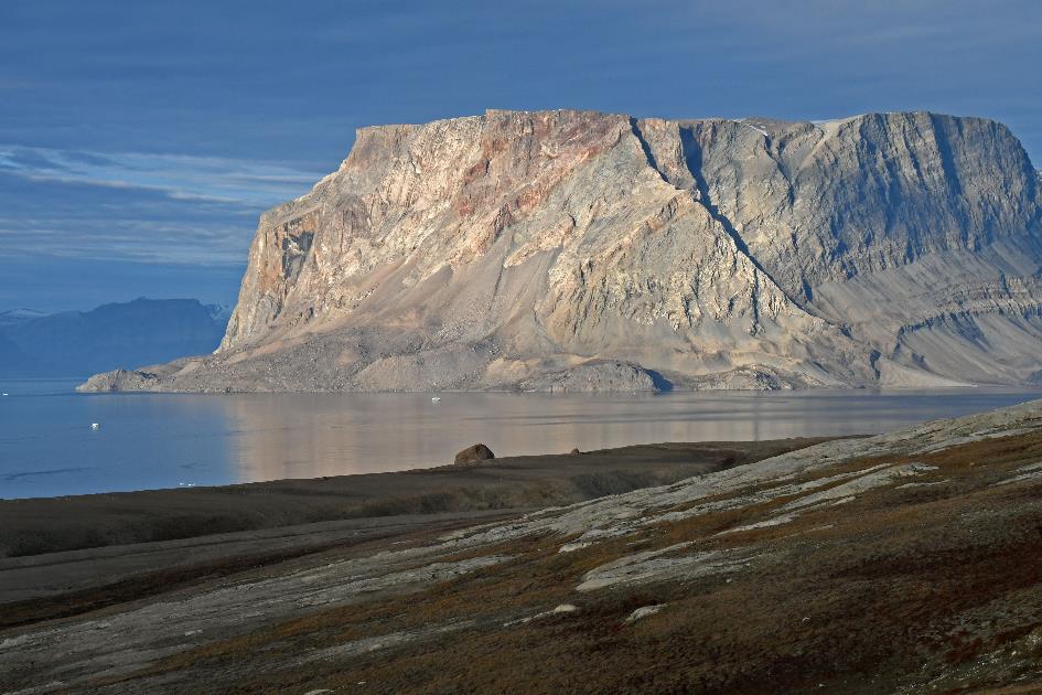 D:\DataFoto\Foto's - Reizen\2022-08-30 Noordoost-Groenland\10 Kap Ovibos\Best Of\GROE1637y.jpg
