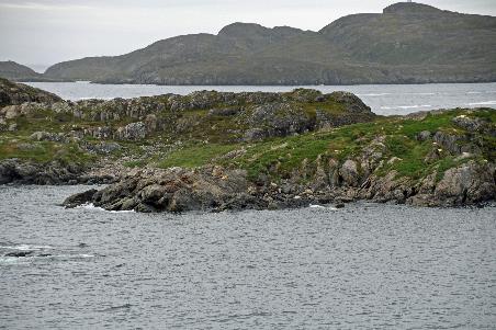 D:\DataFoto\Foto's - Reizen\2023-08-13 Noordwestelijke Doorvaart\11 Sisimiut - Cultural Historical Hike\Best Of\NWD_1342y.jpg