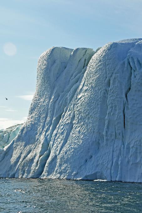 D:\DataFoto\Foto's - Reizen\2023-08-13 Noordwestelijke Doorvaart\14 Ilulissat - Boat Trip Icefjord\Best Of\NWD_1616y.jpg