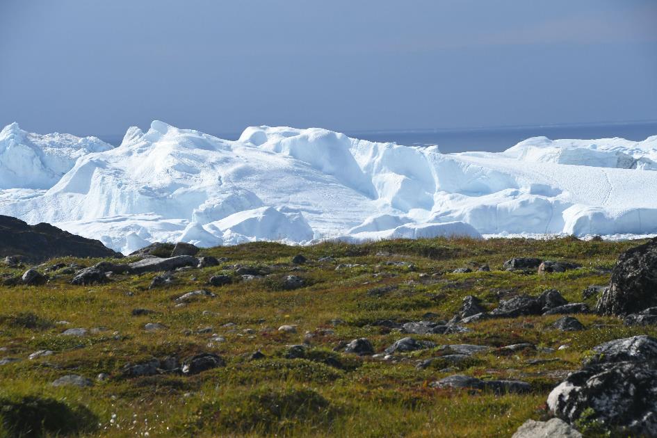 D:\DataFoto\Foto's - Reizen\2023-08-13 Noordwestelijke Doorvaart\15 Ilulissat - Walk Icefjord\Best Of\NWD_1775y.jpg