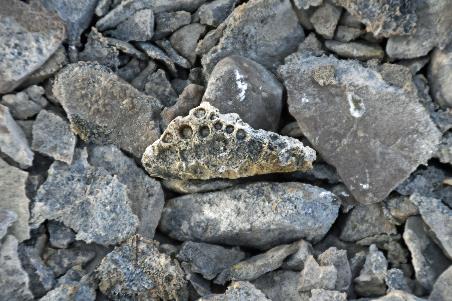 D:\DataFoto\Foto's - Reizen\2023-08-13 Noordwestelijke Doorvaart\33 Beechey Island\Best Of\NWD_3342y.jpg