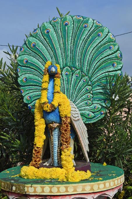 D:\DataFoto\Foto's - Reizen\2023-10-16 La Reunion\02 Saint-Andre\Best Of\REU_0073y.jpg
