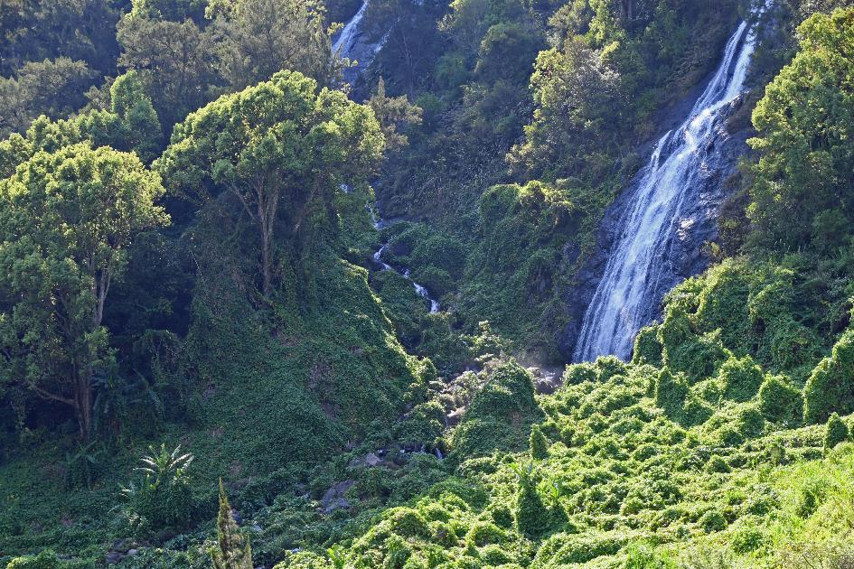 D:\DataFoto\Foto's - Reizen\2023-10-16 La Reunion\03 Naar Hell-Bourg\Best Of\REU_0133y.jpg