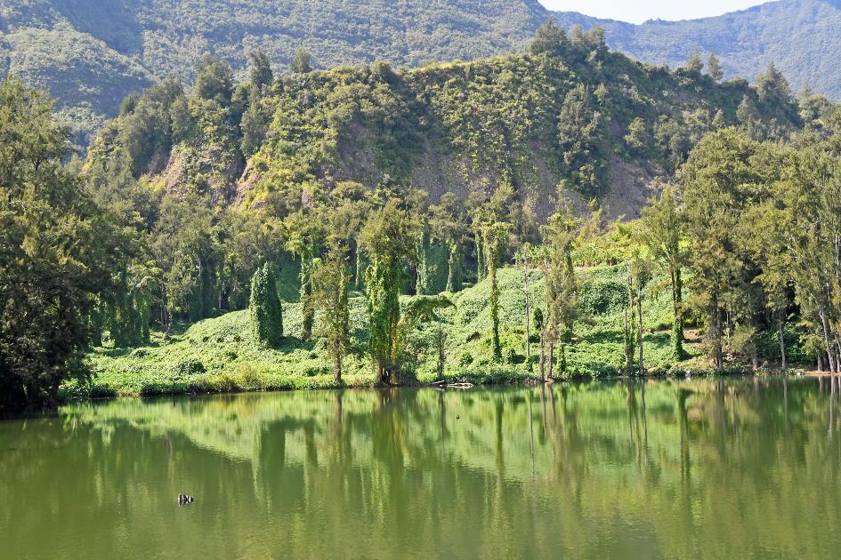 D:\DataFoto\Foto's - Reizen\2023-10-16 La Reunion\03 Naar Hell-Bourg\Best Of\REU_0160y.jpg