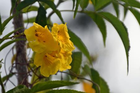 D:\DataFoto\Foto's - Reizen\2023-10-16 La Reunion\01 Saint-Denis\Best Of\REU_0017y.jpg