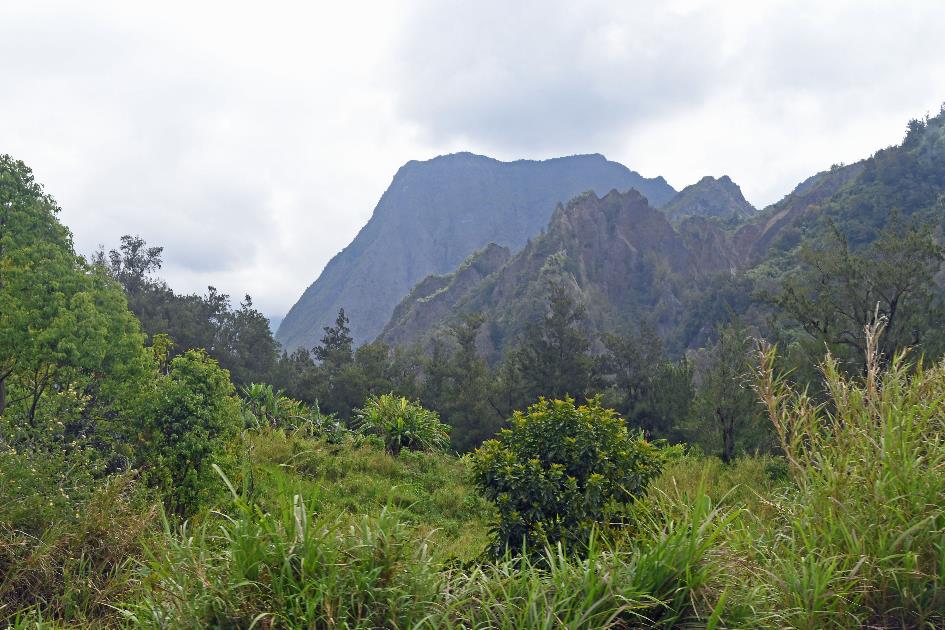 D:\DataFoto\Foto's - Reizen\2023-10-16 La Reunion\04 Hell-Bourg\Best Of\REU_0337y.jpg
