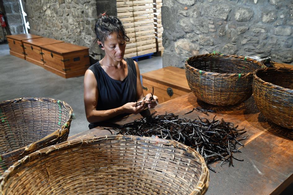 D:\DataFoto\Foto's - Reizen\2023-10-16 La Reunion\07 La Vanilleraie\Best Of\REU_0375y.jpg