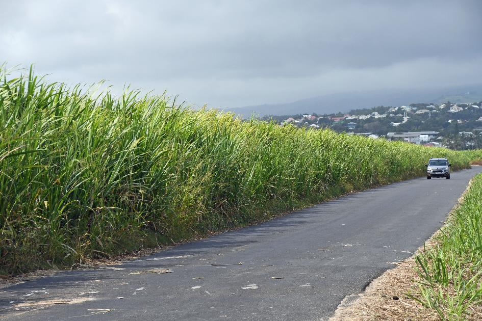 D:\DataFoto\Foto's - Reizen\2023-10-16 La Reunion\08 Bois Rouge - Suikerraffinaderij\Best Of\REU_0421y.jpg