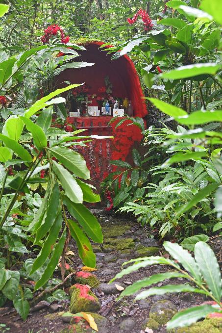 D:\DataFoto\Foto's - Reizen\2023-10-16 La Reunion\10 Ilet Bethleem - Bassin Therese\Best Of\REU_0507y.jpg