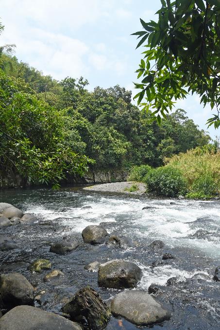 D:\DataFoto\Foto's - Reizen\2023-10-16 La Reunion\10 Ilet Bethleem - Bassin Therese\Best Of\REU_0546y.jpg