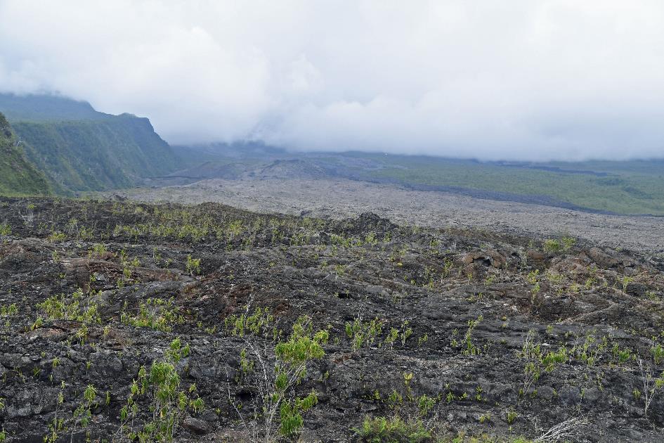 D:\DataFoto\Foto's - Reizen\2023-10-16 La Reunion\15 Lavaflows 2001 - 2007 - 2023\Best Of\REU_0874y.jpg