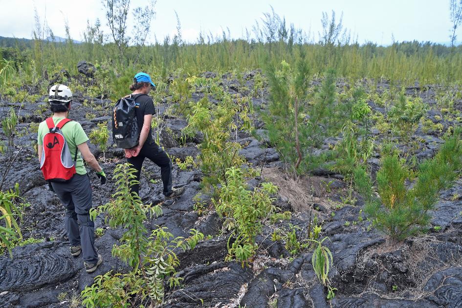 D:\DataFoto\Foto's - Reizen\2023-10-16 La Reunion\14 Lavatunnels\Best Of\REU_0710y.jpg
