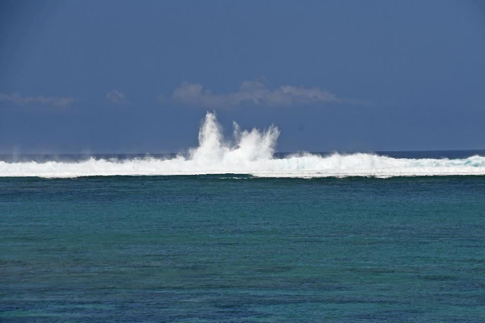 D:\DataFoto\Foto's - Reizen\2023-10-16 La Reunion\12 La Saline les Bains\Best Of\REU_2429y.jpg