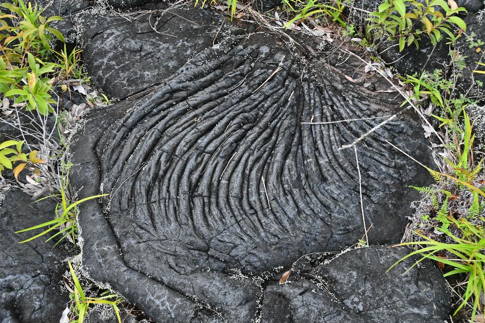 D:\DataFoto\Foto's - Reizen\2023-10-16 La Reunion\14 Lavatunnels\Best Of\REU_0854y.jpg