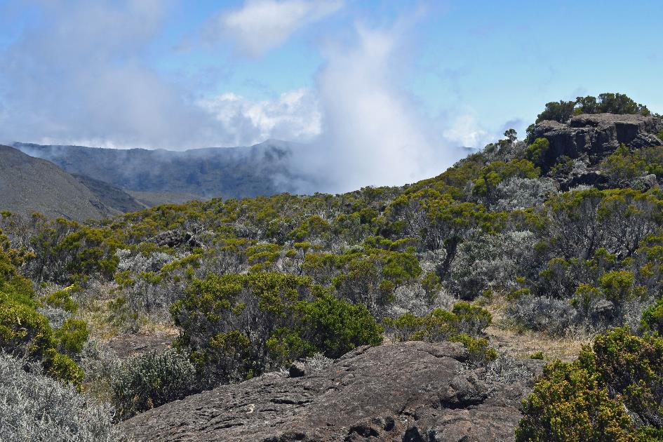 D:\DataFoto\Foto's - Reizen\2023-10-16 La Reunion\23 Piton de la Fournaise\Best Of\REU_1056y.jpg