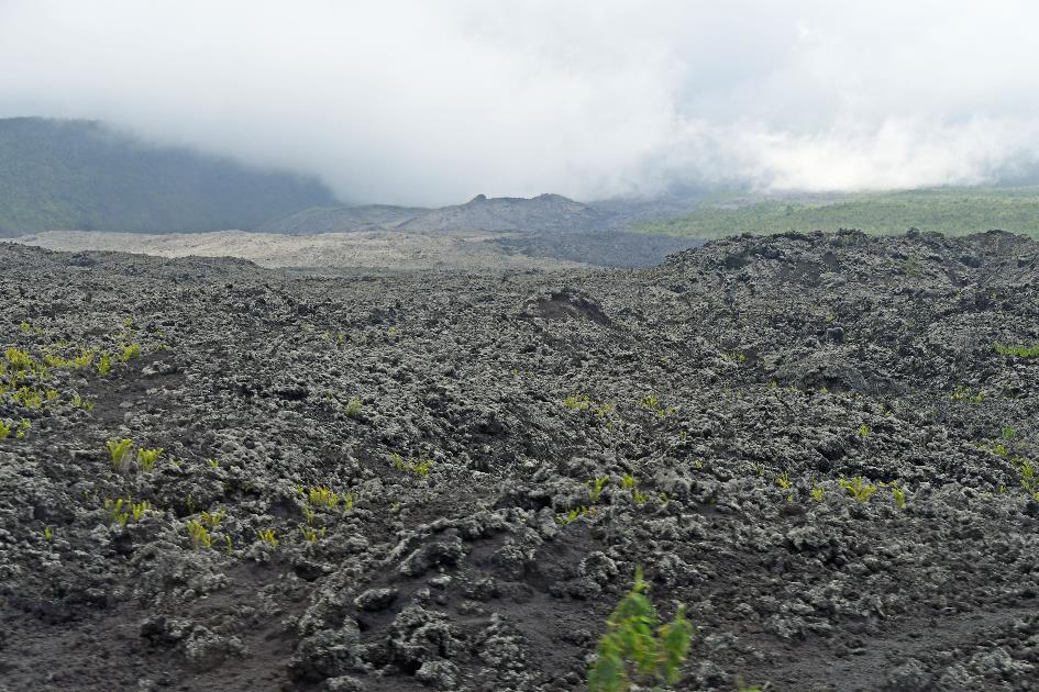 D:\DataFoto\Foto's - Reizen\2023-10-16 La Reunion\13 Naar lavatunnels\Best Of\REU_0698y.jpg