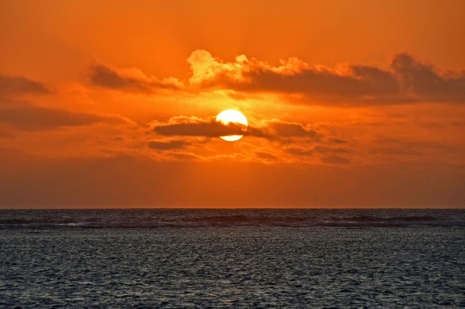 D:\DataFoto\Foto's - Reizen\2023-10-16 La Reunion\12 La Saline les Bains\Best Of\REU_1253y.jpg