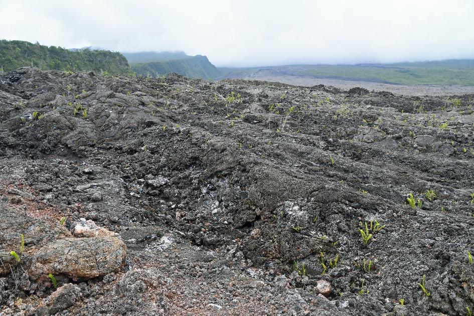 D:\DataFoto\Foto's - Reizen\2023-10-16 La Reunion\15 Lavaflows 2001 - 2007 - 2023\Best Of\REU_0881y.jpg