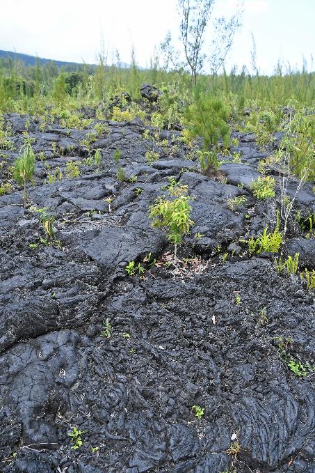 D:\DataFoto\Foto's - Reizen\2023-10-16 La Reunion\14 Lavatunnels\Best Of\REU_0711y.jpg