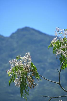 D:\DataFoto\Foto's - Reizen\2023-10-16 La Reunion\29 Cilaos\Best Of\REU_1565y.jpg