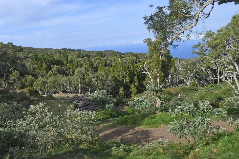D:\DataFoto\Foto's - Reizen\2023-10-16 La Reunion\35 Naar Maido\Best Of\REU_2059y.jpg