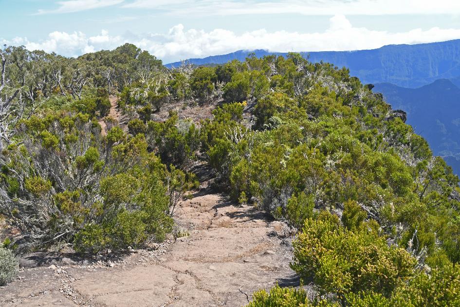 D:\DataFoto\Foto's - Reizen\2023-10-16 La Reunion\37 Sentier du Rempart\Best Of\REU_2261y.jpg