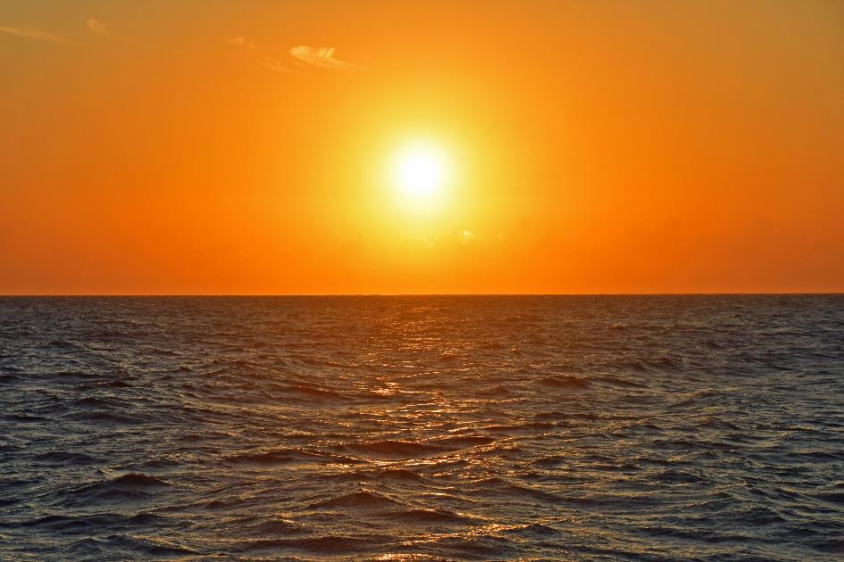 D:\DataFoto\Foto's - Reizen\2023-10-16 La Reunion\41 Boottocht catamaran\Best Of\REU_2661y.jpg