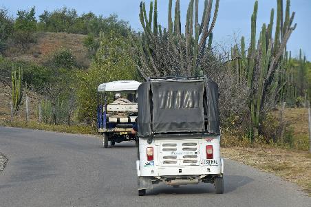 D:\DataFoto\Foto's - Reizen\2024-03-01 Colombia (herschikt)\38 Tatacoawoestijn\Best Of\COL_2384y.jpg