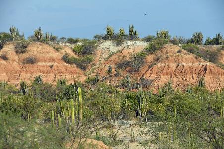 D:\DataFoto\Foto's - Reizen\2024-03-01 Colombia (herschikt)\38 Tatacoawoestijn\Best Of\COL_2410y.jpg