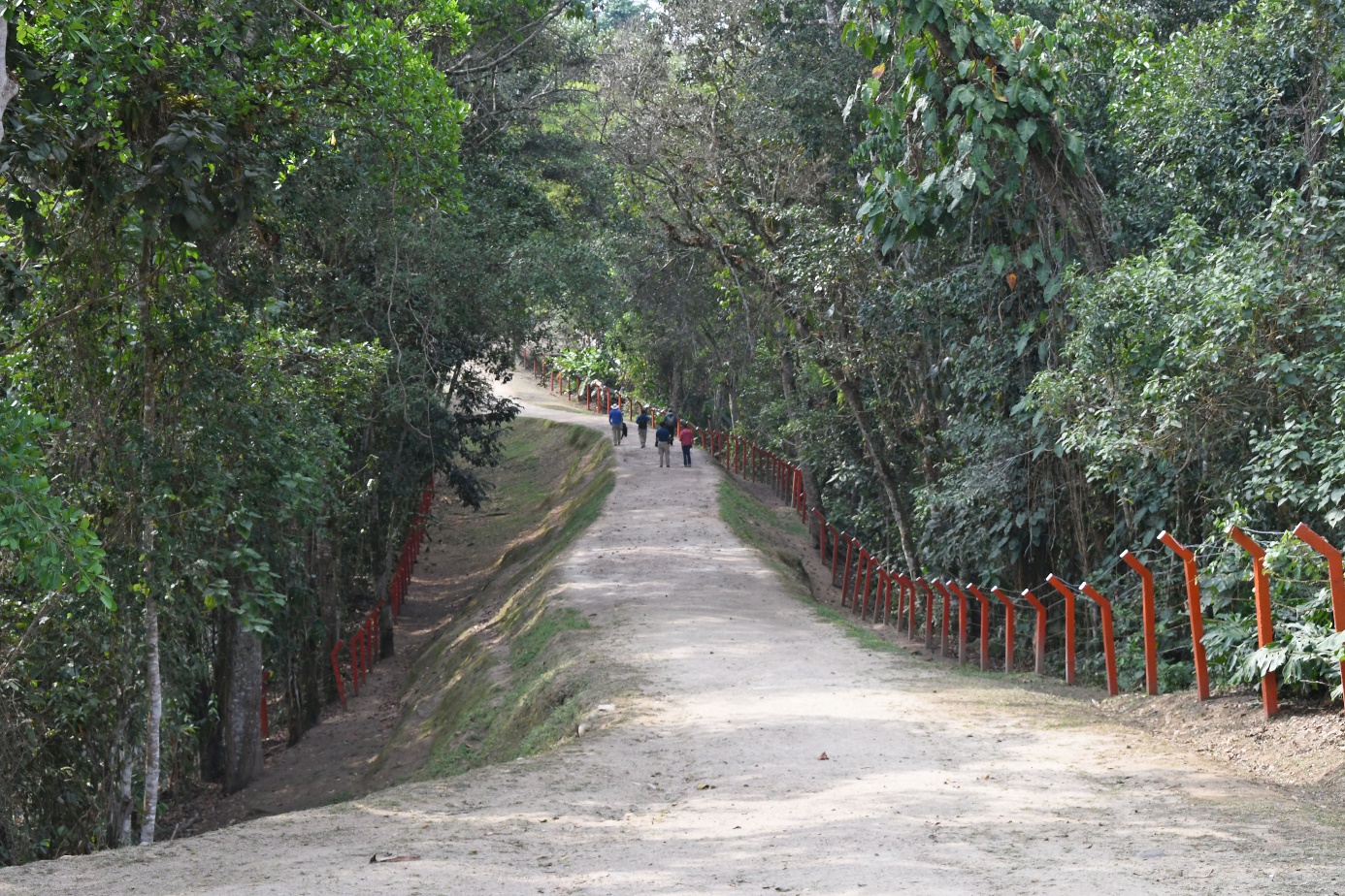 D:\DataFoto\Foto's - Reizen\2024-03-01 Colombia (herschikt)\17 San Agustin Parque Archeologico\Best Of\COL_1346y.jpg