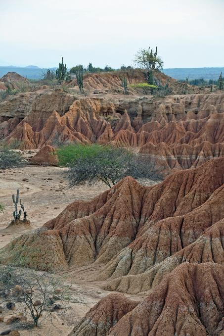 D:\DataFoto\Foto's - Reizen\2024-03-01 Colombia (herschikt)\38 Tatacoawoestijn\Best Of\COL_2466y.jpg