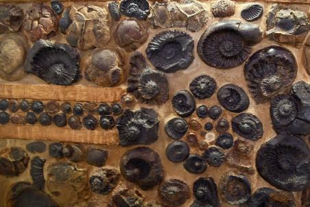 D:\DataFoto\Foto's - Reizen\2024-03-01 Colombia (herschikt)\50 El Fossil\Best Of\COL_3782y.jpg