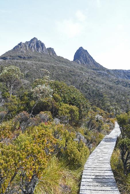 D:\DataFoto\Foto's - Reizen\2024-10-31b Tasmanie\56 Cradle Mountain Dove Lake\Best Of\AUT_3435y.jpg