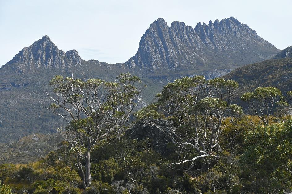 D:\DataFoto\Foto's - Reizen\2024-10-31b Tasmanie\56 Cradle Mountain Dove Lake\Best Of\AUT_3535y.jpg