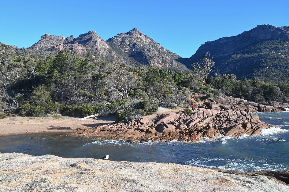 D:\DataFoto\Foto's - Reizen\2024-10-31b Tasmanie\67 Freycinet NP Honeymoon Beach\Best Of\AUT_4040y.jpg