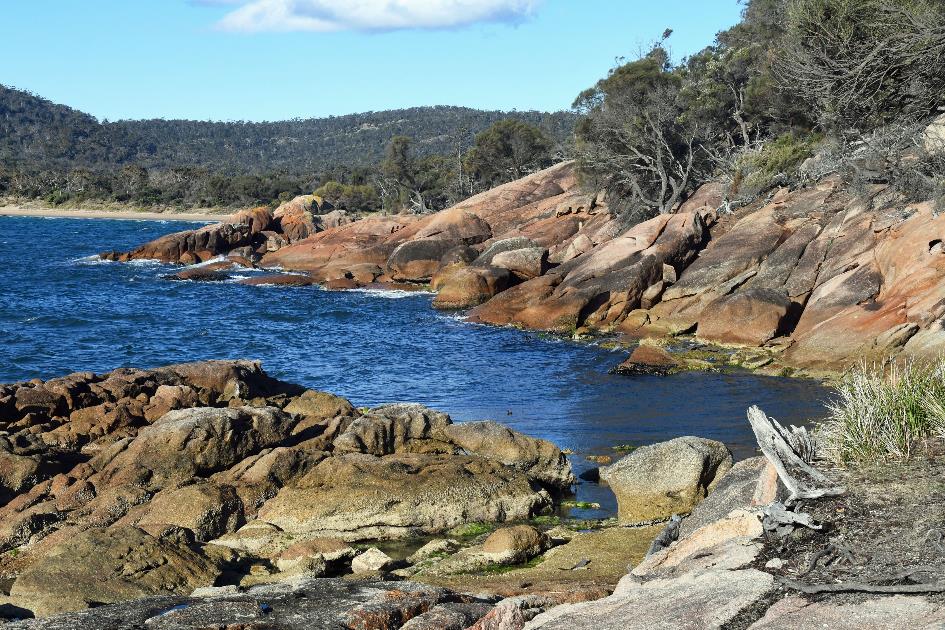 D:\DataFoto\Foto's - Reizen\2024-10-31b Tasmanie\67 Freycinet NP Honeymoon Beach\Best Of\AUT_4054y.jpg