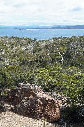 D:\DataFoto\Foto's - Reizen\2024-10-31b Tasmanie\69 Freycinet NP Wineglass Bay\Best Of\AUT_4149y.jpg