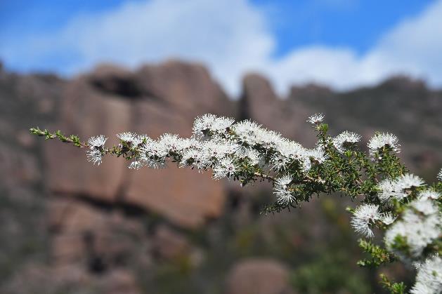 D:\DataFoto\Foto's - Reizen\2024-10-31b Tasmanie\69 Freycinet NP Wineglass Bay\Best Of\AUT_4193y.jpg