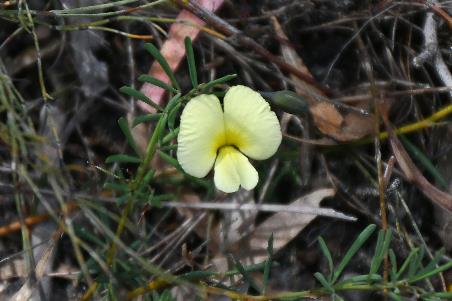 D:\DataFoto\Foto's - Reizen\2024-10-31b Tasmanie\69 Freycinet NP Wineglass Bay\Best Of\AUT_4261y.jpg